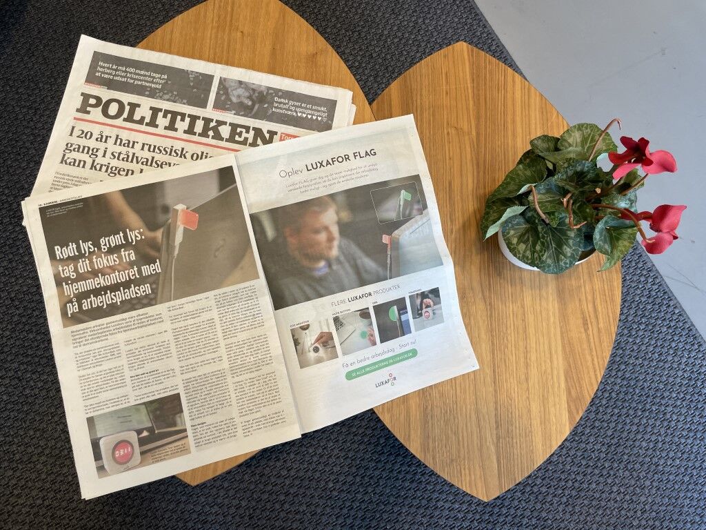 Artikel i Politikens "Karriere"-tillæg